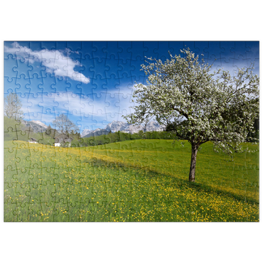 Darstellung des Puzzle Motivs puzzleplate Frühlingswiese in Gerold gegen Wörner (2476m) und Tiefkarspitze (2430m) bei Mittenwald, Oberbayern 200 Puzzle