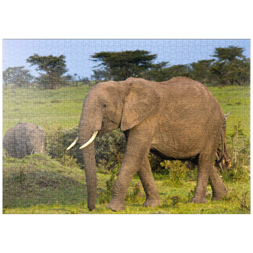 Darstellung des Puzzle Motivs puzzleplate Masai Mara, Kenia, Elefanten 1000 Puzzle
