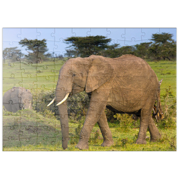 Darstellung des Puzzle Motivs puzzleplate Masai Mara, Kenia, Elefanten 100 Puzzle