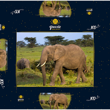 Darstellung des Puzzle Motivs Masai Mara, Kenia, Elefanten 100 Puzzle Schachtel 3D Modell