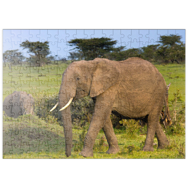 Darstellung des Puzzle Motivs puzzleplate Masai Mara, Kenia, Elefanten 200 Puzzle