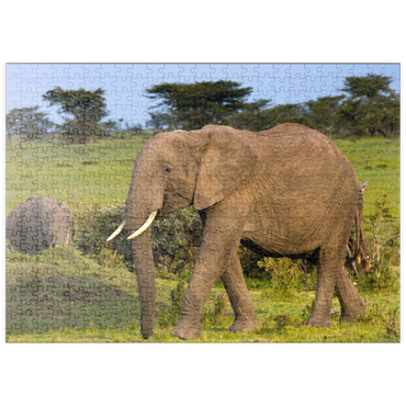 Darstellung des Puzzle Motivs puzzleplate Masai Mara, Kenia, Elefanten 500 Puzzle