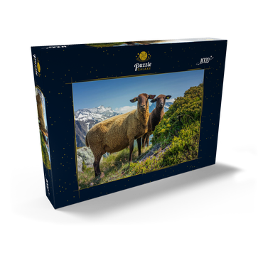 Darstellung des Puzzle Motivs Braunes Bergschaf im Wandergebiet Aletschregion, Aletschgebiet 1000 Puzzle Schachtel Ansicht2
