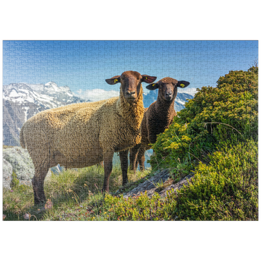Darstellung des Puzzle Motivs puzzleplate Braunes Bergschaf im Wandergebiet Aletschregion, Aletschgebiet 1000 Puzzle
