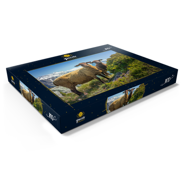Darstellung des Puzzle Motivs Braunes Bergschaf im Wandergebiet Aletschregion, Aletschgebiet 100 Puzzle Schachtel Ansicht1