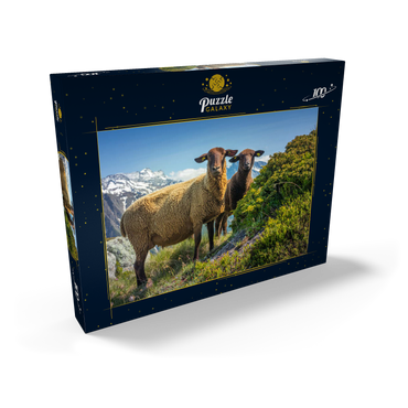 Darstellung des Puzzle Motivs Braunes Bergschaf im Wandergebiet Aletschregion, Aletschgebiet 100 Puzzle Schachtel Ansicht2