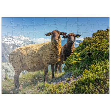 Darstellung des Puzzle Motivs puzzleplate Braunes Bergschaf im Wandergebiet Aletschregion, Aletschgebiet 100 Puzzle