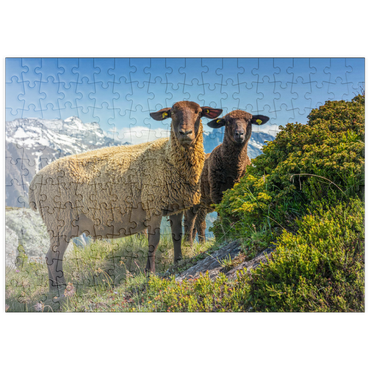Darstellung des Puzzle Motivs puzzleplate Braunes Bergschaf im Wandergebiet Aletschregion, Aletschgebiet 200 Puzzle