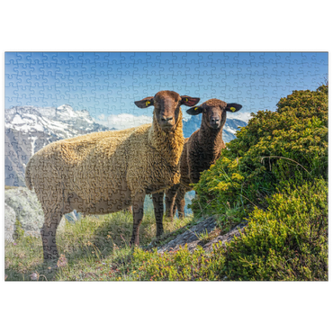 Darstellung des Puzzle Motivs puzzleplate Braunes Bergschaf im Wandergebiet Aletschregion, Aletschgebiet 500 Puzzle