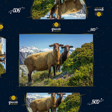 Darstellung des Puzzle Motivs Braunes Bergschaf im Wandergebiet Aletschregion, Aletschgebiet 500 Puzzle Schachtel 3D Modell