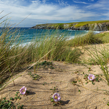 Darstellung des Puzzle Motivs Dünen am Strand von Holywell Bay bei Newquay, Nordküste, Cornwall 1000 Puzzle 3D Modell