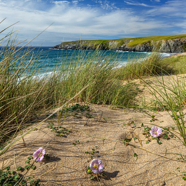 Darstellung des Puzzle Motivs Dünen am Strand von Holywell Bay bei Newquay, Nordküste, Cornwall 100 Puzzle 3D Modell