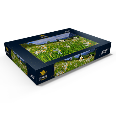 Darstellung des Puzzle Motivs Blühende Narzissenwiese, Tauplitz, Salzkammergut, Steiermark, Österreich 1000 Puzzle Schachtel Ansicht1