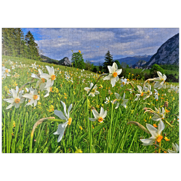 Darstellung des Puzzle Motivs puzzleplate Blühende Narzissenwiese, Tauplitz, Salzkammergut, Steiermark, Österreich 1000 Puzzle