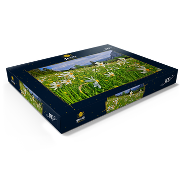 Darstellung des Puzzle Motivs Blühende Narzissenwiese, Tauplitz, Salzkammergut, Steiermark, Österreich 100 Puzzle Schachtel Ansicht1