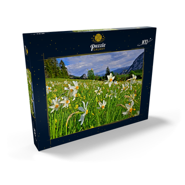 Darstellung des Puzzle Motivs Blühende Narzissenwiese, Tauplitz, Salzkammergut, Steiermark, Österreich 100 Puzzle Schachtel Ansicht2
