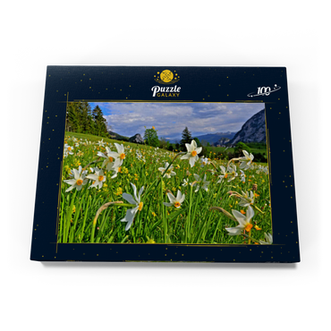 Darstellung des Puzzle Motivs Blühende Narzissenwiese, Tauplitz, Salzkammergut, Steiermark, Österreich 100 Puzzle Schachtel Ansicht3