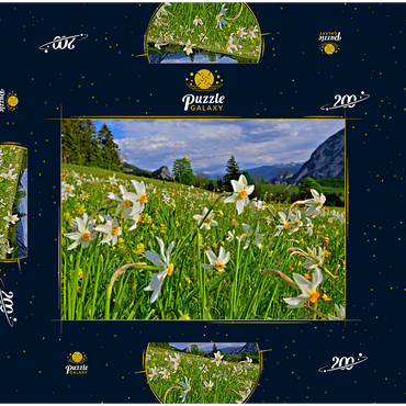 Darstellung des Puzzle Motivs Blühende Narzissenwiese, Tauplitz, Salzkammergut, Steiermark, Österreich 200 Puzzle Schachtel 3D Modell
