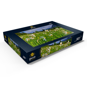 Darstellung des Puzzle Motivs Blühende Narzissenwiese, Tauplitz, Salzkammergut, Steiermark, Österreich 500 Puzzle Schachtel Ansicht1