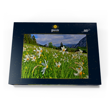 Darstellung des Puzzle Motivs Blühende Narzissenwiese, Tauplitz, Salzkammergut, Steiermark, Österreich 500 Puzzle Schachtel Ansicht3