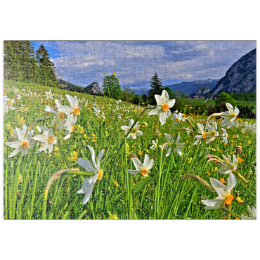 Darstellung des Puzzle Motivs puzzleplate Blühende Narzissenwiese, Tauplitz, Salzkammergut, Steiermark, Österreich 500 Puzzle