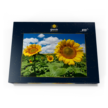 Darstellung des Puzzle Motivs Sonnenblumenfeld 1000 Puzzle Schachtel Ansicht3