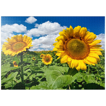 Darstellung des Puzzle Motivs puzzleplate Sonnenblumenfeld 1000 Puzzle