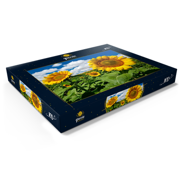 Darstellung des Puzzle Motivs Sonnenblumenfeld 100 Puzzle Schachtel Ansicht1