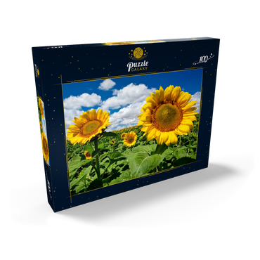 Darstellung des Puzzle Motivs Sonnenblumenfeld 100 Puzzle Schachtel Ansicht2