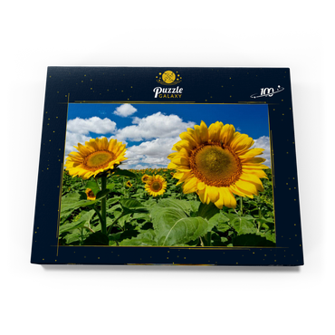 Darstellung des Puzzle Motivs Sonnenblumenfeld 100 Puzzle Schachtel Ansicht3