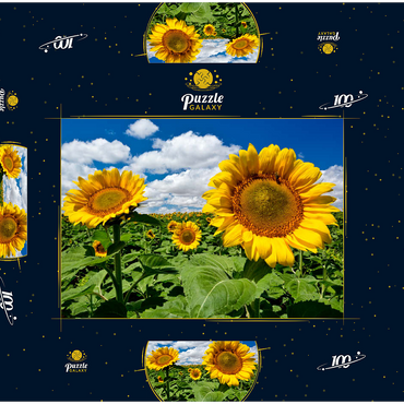 Darstellung des Puzzle Motivs Sonnenblumenfeld 100 Puzzle Schachtel 3D Modell