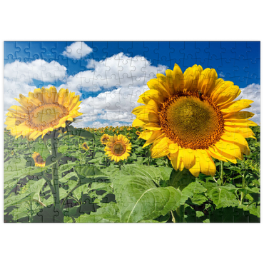 Darstellung des Puzzle Motivs puzzleplate Sonnenblumenfeld 200 Puzzle