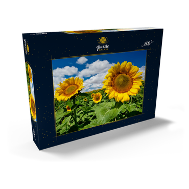Darstellung des Puzzle Motivs Sonnenblumenfeld 500 Puzzle Schachtel Ansicht2
