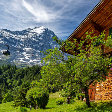 Darstellung des Puzzle Motivs Neue Seilbahn Eiger Express zum Eiger Gletscher (2320m) 100 Puzzle 3D Modell