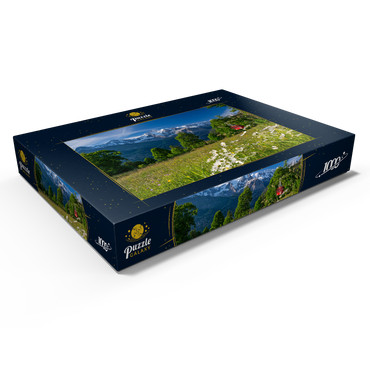 Darstellung des Puzzle Motivs Isenfluh, Weiler Sulwald Bergstation der Seilbahn gegen Eiger, Mönch und Jungfrau 1000 Puzzle Schachtel Ansicht1