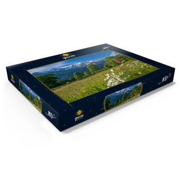 Darstellung des Puzzle Motivs Isenfluh, Weiler Sulwald Bergstation der Seilbahn gegen Eiger, Mönch und Jungfrau 100 Puzzle Schachtel Ansicht1