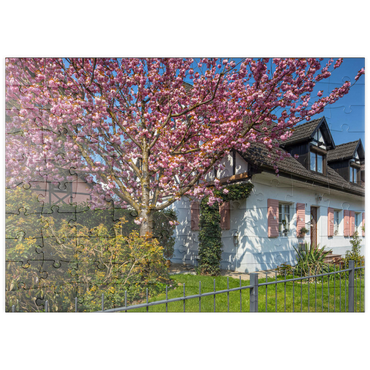 Darstellung des Puzzle Motivs puzzleplate Blühende Zierkirsche an einem Wohnhaus 100 Puzzle