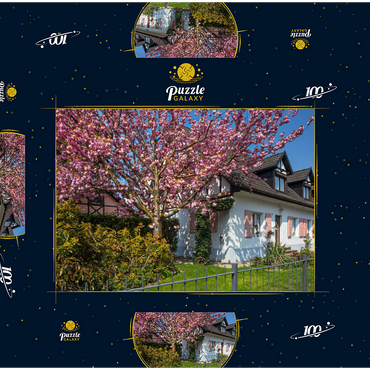 Darstellung des Puzzle Motivs Blühende Zierkirsche an einem Wohnhaus 100 Puzzle Schachtel 3D Modell