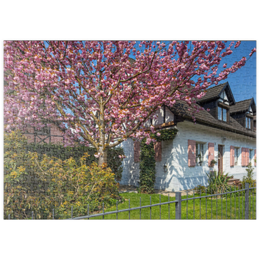 Darstellung des Puzzle Motivs puzzleplate Blühende Zierkirsche an einem Wohnhaus 500 Puzzle