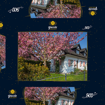 Darstellung des Puzzle Motivs Blühende Zierkirsche an einem Wohnhaus 500 Puzzle Schachtel 3D Modell