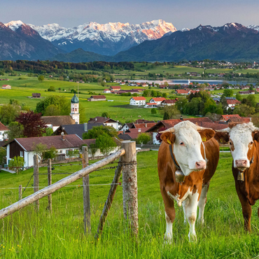 Darstellung des Puzzle Motivs Blick von der Aidlinger Höhe nahe Murnau am Staffelsee über Aidling mit dem Riegsee 1000 Puzzle 3D Modell