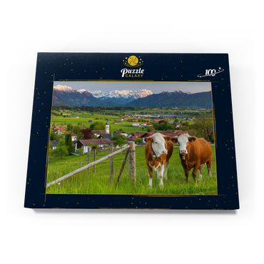 Darstellung des Puzzle Motivs Blick von der Aidlinger Höhe nahe Murnau am Staffelsee über Aidling mit dem Riegsee 100 Puzzle Schachtel Ansicht3