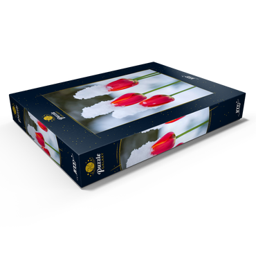 Darstellung des Puzzle Motivs Tulpen im Schnee 1000 Puzzle Schachtel Ansicht1