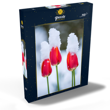 Darstellung des Puzzle Motivs Tulpen im Schnee 200 Puzzle Schachtel Ansicht2
