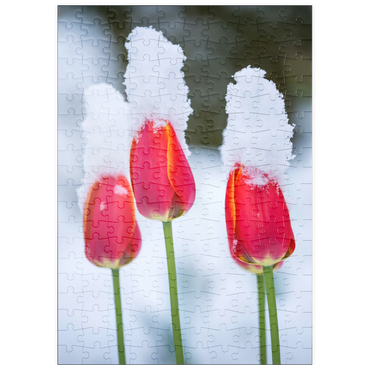 Darstellung des Puzzle Motivs puzzleplate Tulpen im Schnee 200 Puzzle
