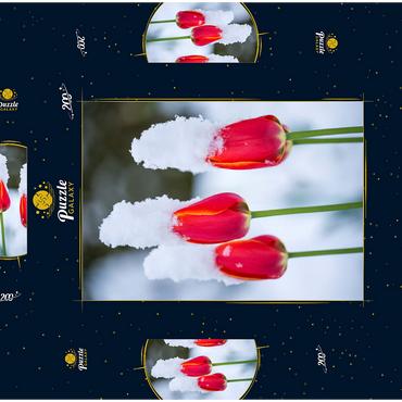 Darstellung des Puzzle Motivs Tulpen im Schnee 200 Puzzle Schachtel 3D Modell