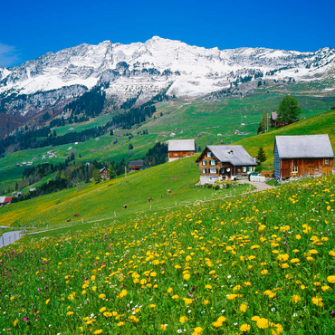 Darstellung des Puzzle Motivs Bauernhöfe gegen Mattstock (1936m), Amden, Kanton St. Gallen, Schweiz 200 Puzzle 3D Modell