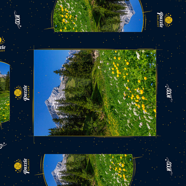 Darstellung des Puzzle Motivs Am Kreuzeck, Trollblumenwiese (Trollius europaeus) gegen Alpspitze mit Paraglider 1000 Puzzle Schachtel 3D Modell