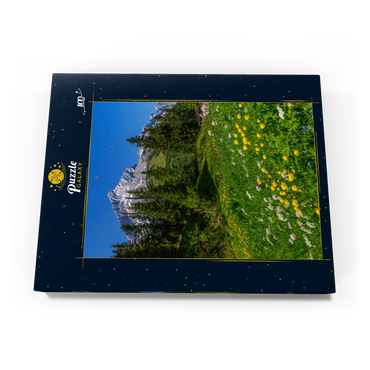 Darstellung des Puzzle Motivs Am Kreuzeck, Trollblumenwiese (Trollius europaeus) gegen Alpspitze mit Paraglider 100 Puzzle Schachtel Ansicht3