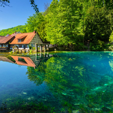 Darstellung des Puzzle Motivs Mühle am Blautopf, eine Karstquelle in Blaubeuren, Alb-Donau-Kreis 100 Puzzle 3D Modell